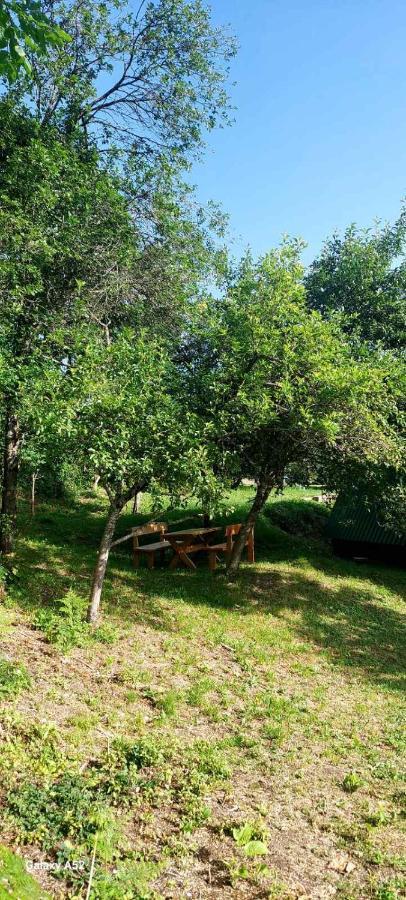 Villa Etno Selo -Sapat- à Savnik Extérieur photo